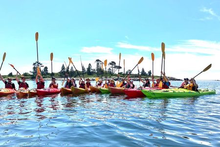 Harbor and Lighthouse Kayak Tour With Lobster Roll