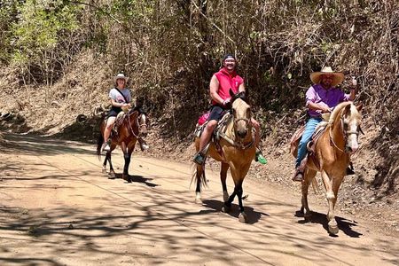 Puerto Vallarta Ranch Day: Horseback Ride, Cow Milking & Lunch