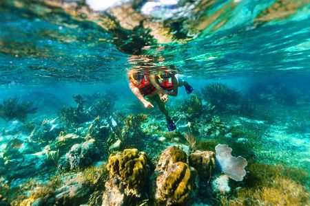 Snorkel in America´s Largest Reef and 3 Hidden Cenotes