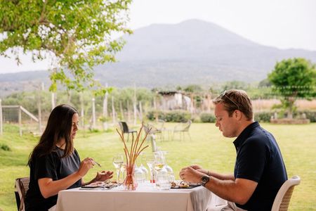 Lunch & Wine Tasting in the National Park of Mt Vesuvius