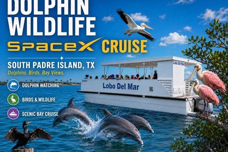 Dolphin Wildlife Space X Cruise