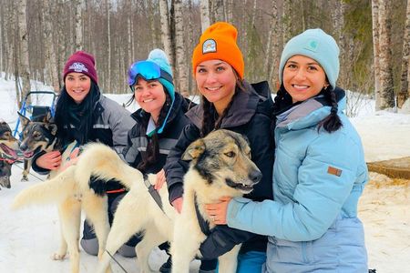 Dog Sled and Snowmobile Combo Experience in Willow Alaska