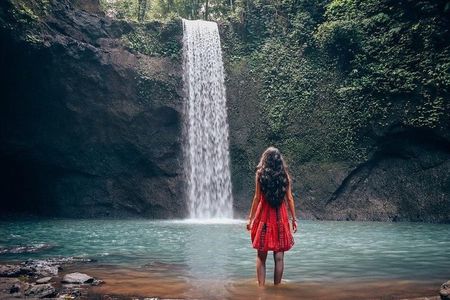 Best of Kanto lampo Waterfall, Tirta Empul, Rice terrace in Ubud