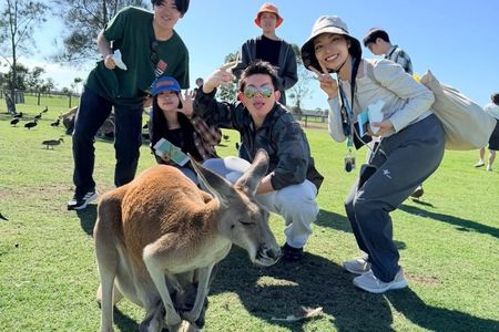 Newcastle: Port Stephens Dolphin Cruise & Wildlife Day Tour