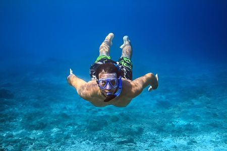 Roatan private Snorkeling Adventure monkey Sloth west Bay Beach.