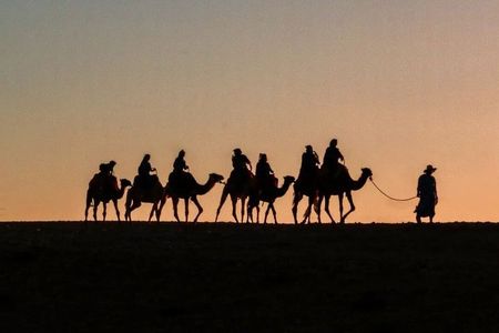 Quad Bike and Camel Ride in Marrakech Palm Groves with Sunset
