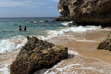 Curacao Private Jeep Off Road Tour to Sea Turtle Swim FULL DAY