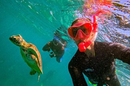 Snorkel & Whitehaven Beach Eco Cruise, Lunch | From Airlie Beach
