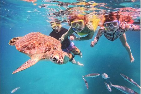 Best Snorkeling Tours with Complimentary Photos