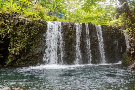 Half Day Private Road to Hana Tour with Pickup