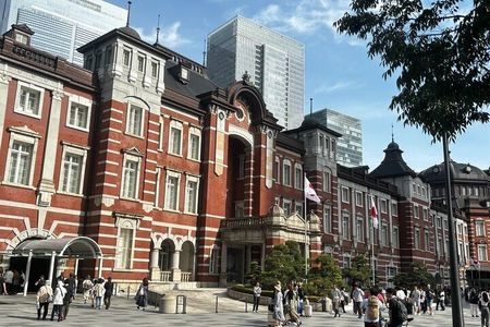 1D Tokyo Private Walking Tour with Expert Guide from Yokohama
