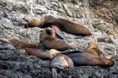 Full Day Isla Salango Snorkeling and Seabird Tour from Guayaquil