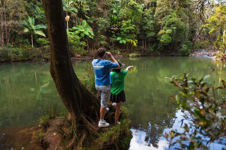 Airlie Beach: Eungella Wild Platypus Encounter Eco Tour
