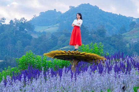 Mon Jam Flower Hills, Alpaca Cafe & Dantewada (Private Trip)