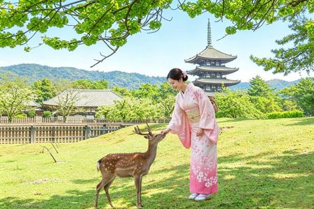 Kyoto & Nara & Uji: Full Day Sightseeing Tour from Osaka or Kyoto