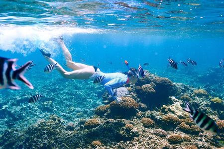 Luxury Private Speed Boat Charter with Coral Delight