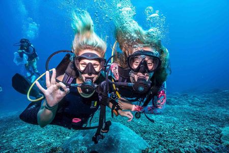 Scuba Diving Experience in Alanya With Lunch and 2 Dives