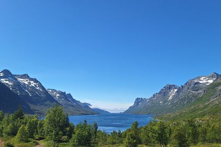 Tromsø: Arctic Fjords & Islands Scenic Tour — Small Group