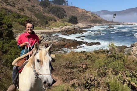 Papudo : Navigation, Penguin Watching and Riding