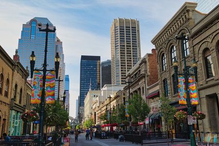 Calgary Private City Tour with Top Landmarks
