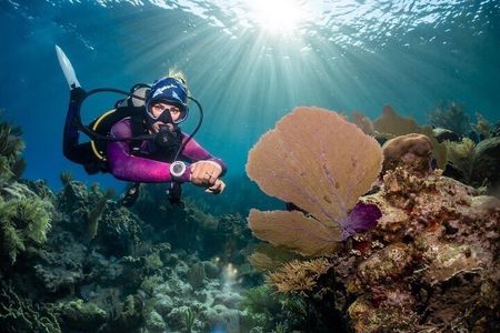 Roatan Scuba Diving Adventures and Tours