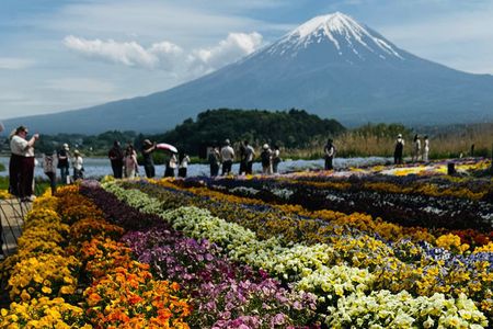 Mt.Fuji and Hakone Private Tour With Guide