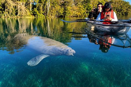 Silver Springs 2-Hour Glass Bottom Guided Kayak Eco Tour