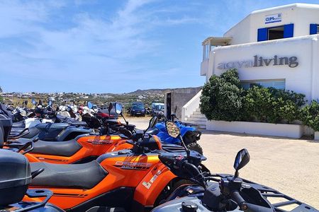 Mykonos ATV and Buggy Tour with Private Guide