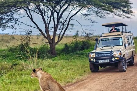 Nairobi National Park Guided tour
