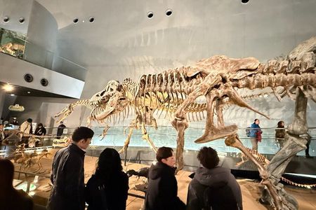 Kanazawa : World-Class Fukui Dinosaur Museum Small Group Tour