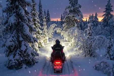 3 hour Evening Snowmobile Safari with Campfire & Northern Lights