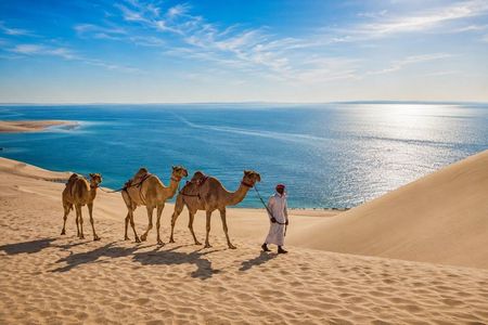 Private Qatar Desert Safari with Inland Sea, Camel Ride & 4x4