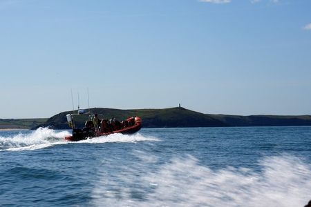 1 Hour Sea Safari RIB Boat Trip