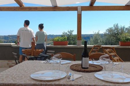 Discover Abruzzo: Winery Tour and Wine Tasting with Meal