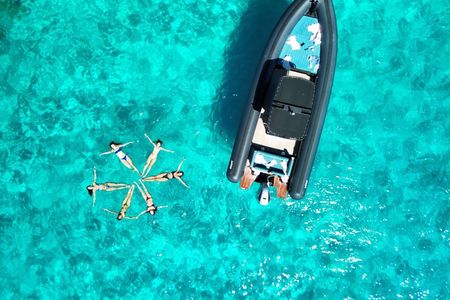 Dolphin watching tour in Luxury inflatable boat with skipper