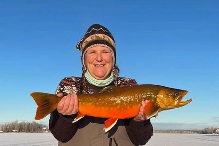 Dog Sled and Ice Fishing Combo Experience in Willow Alaska