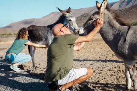 Fuerteventura Bio Farm Tour and Local Tasting