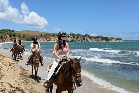 Vieques Horseback Riding with Isla Nena Trail Rides