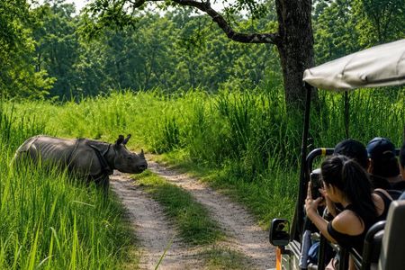 Chitwan National Park Jungle Safari Tours 3 days