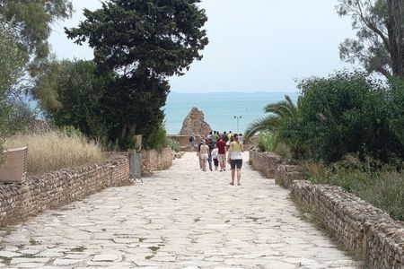 Private Guided Excursion Tunis, Carthage and Sidi Bou Said from Hammamet