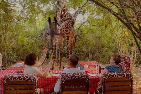 Bora Bora Wildlife Park Half Day Tour in Diani