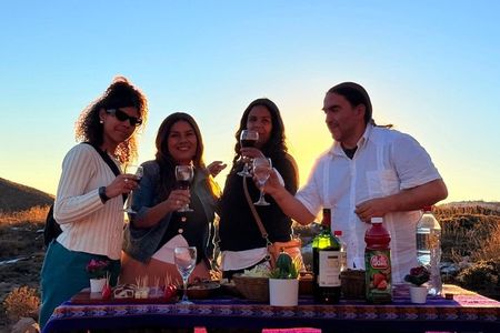 Condors & Sunset c/ Picnic departure by vehicle from Santiago