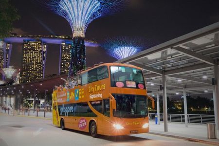 Singapore City Lights 1Hour Open Top Night Tour