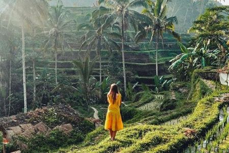 Private Ubud Cultural Best Highlights All Inclusive