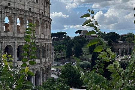 Colosseum History Legends and Secrets