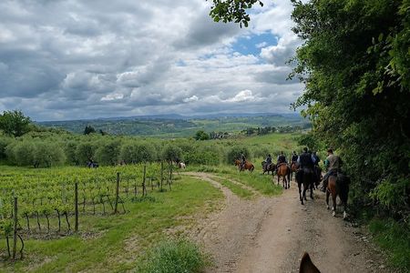 Horseback Ride with Aperitif in the Hills of Pisa