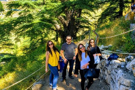 Private Tour: Qadisha valley, Cedars of God and Baalbek