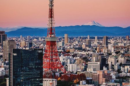 Tokyo Private Tour with Custom Itinerary And English Driver Guide