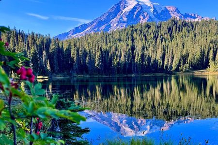 Mount Rainier National Park Day Tour from Seattle to Cascade