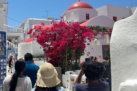 Mykonos 2 Hour Private Tour with a Local Expert